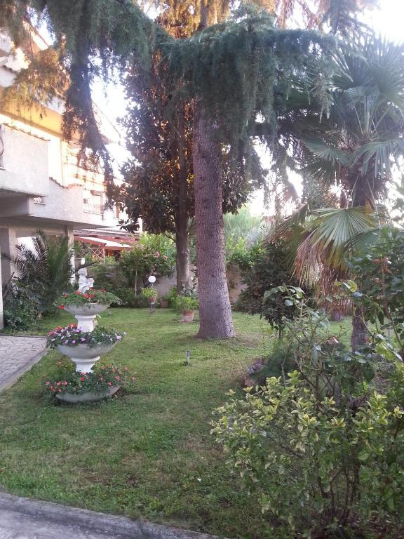 Alexander Bed And Breakfast Ciampino Luaran gambar